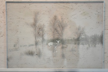 gallery/148